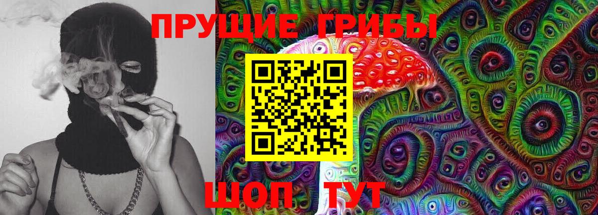Псилоцибиновые грибы Cubensis  Вход с VPN  Киров 